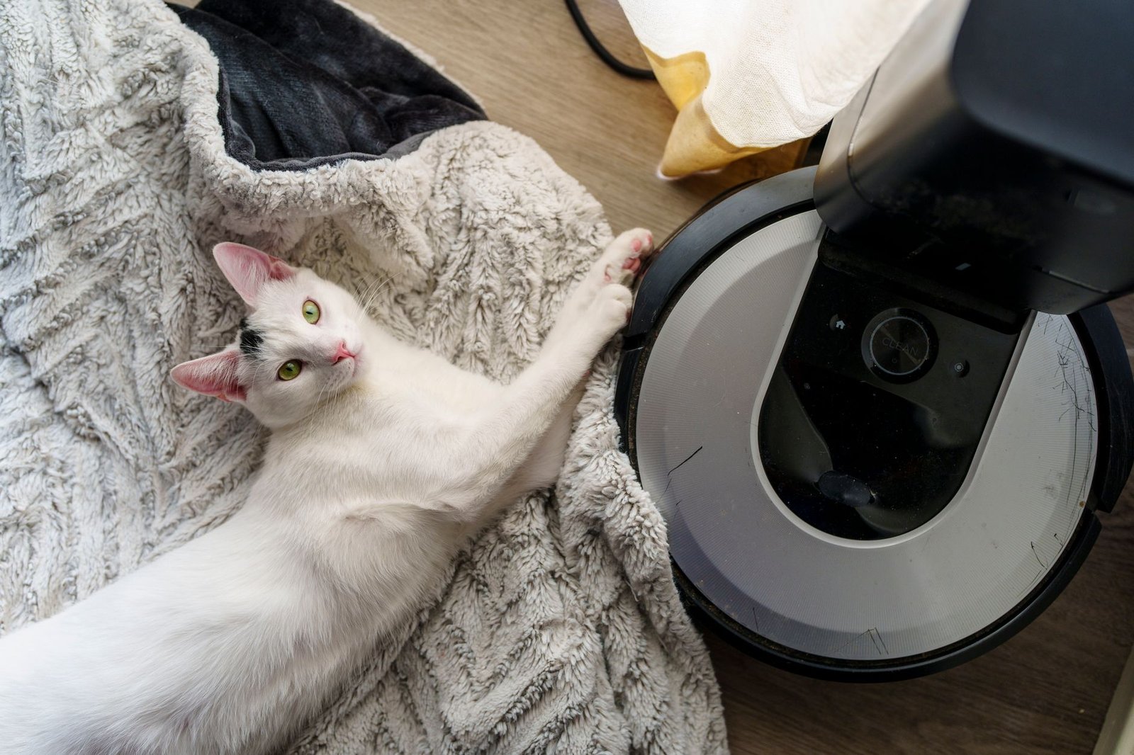 Best Robot Vacuum for Pet Hair Under 0 CAD in 2026 Best Robot Vacuum for Pet Hair Under 0 CAD in 2026